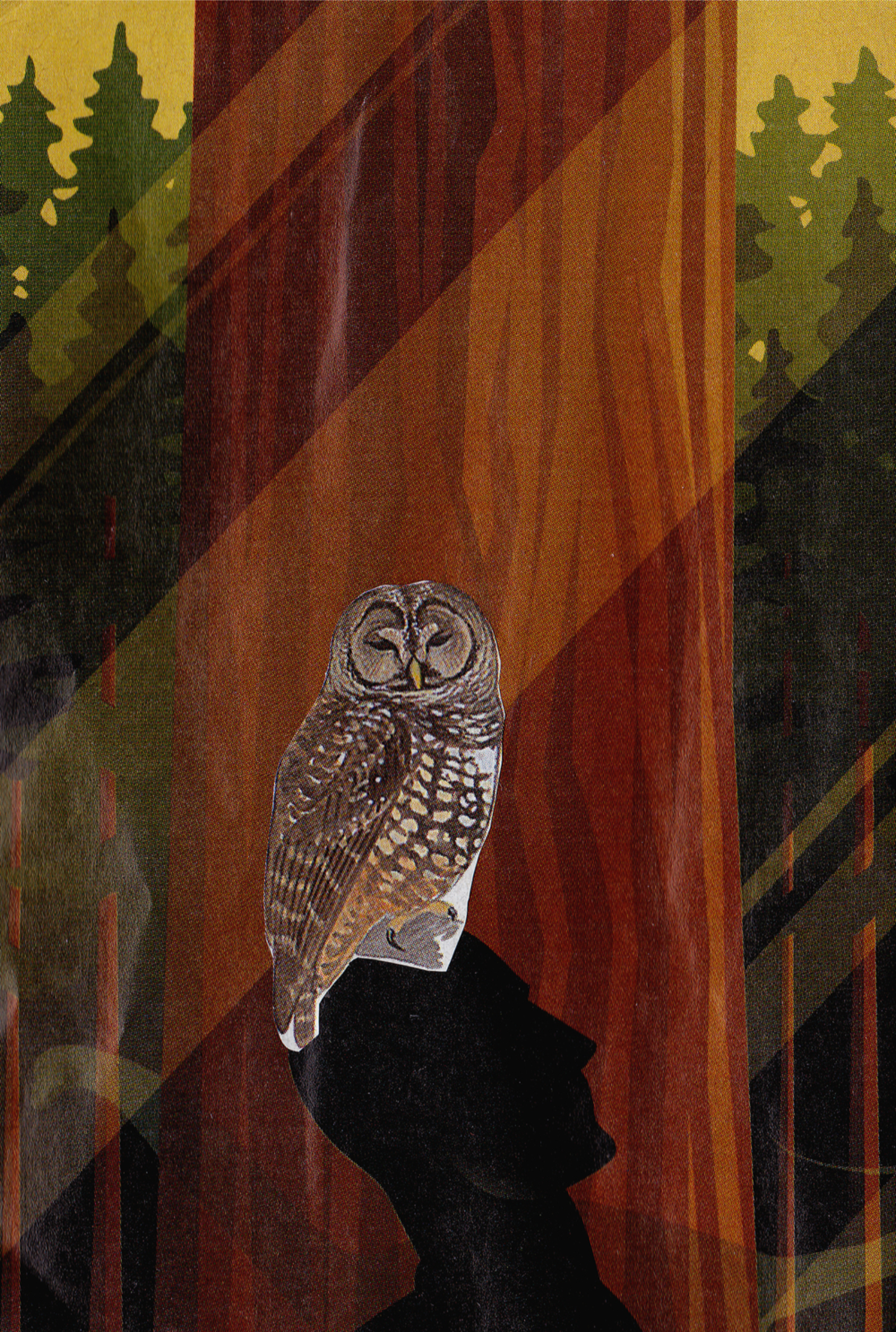 a gallery940 piece by Leah Mould