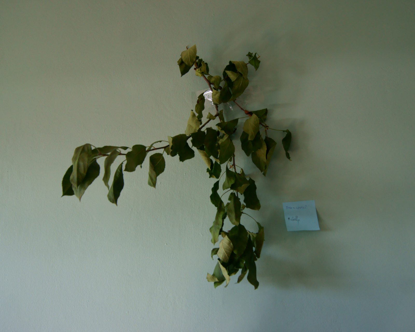 Gallery piece 031
